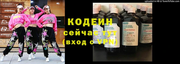 прущий лед Богородицк