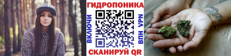 Бошки Шишки MAZAR  kraken сайт  Котельниково 